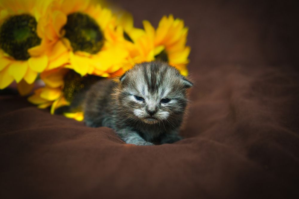 Photograph by Людмила Якурнова