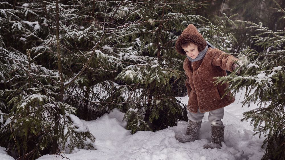 Как мы на лошади за ёлкой ходили