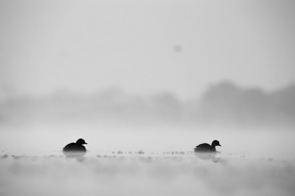 Photograph by Nirav Mehta