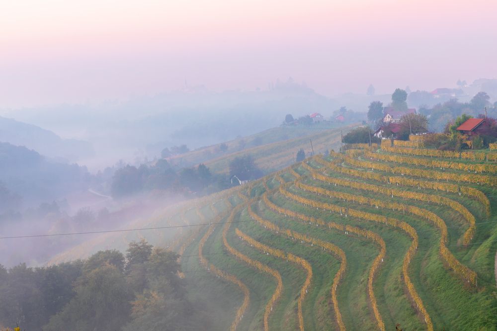 Photograph by Евгения Чех