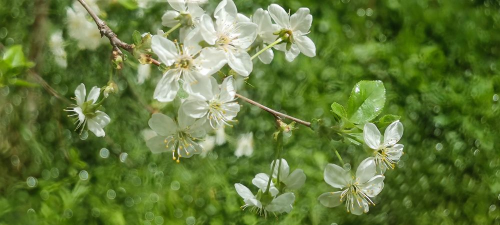 Photograph by Yuriy  Korsuntsev