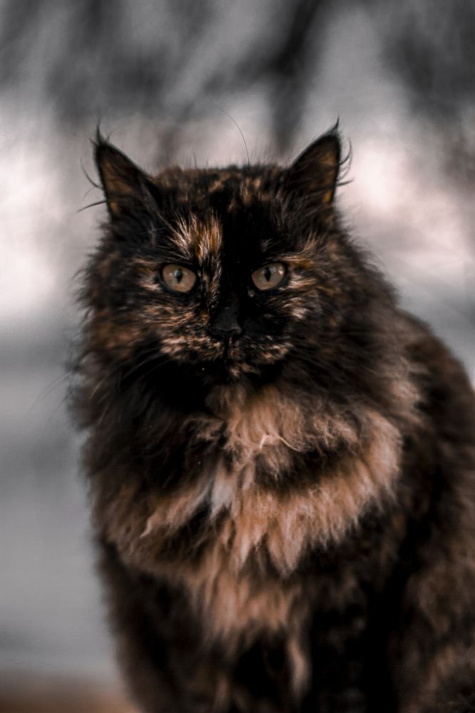 Photograph by Алексей Марченков