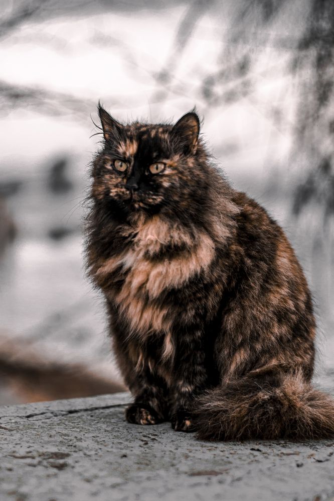 Photograph by Алексей Марченков