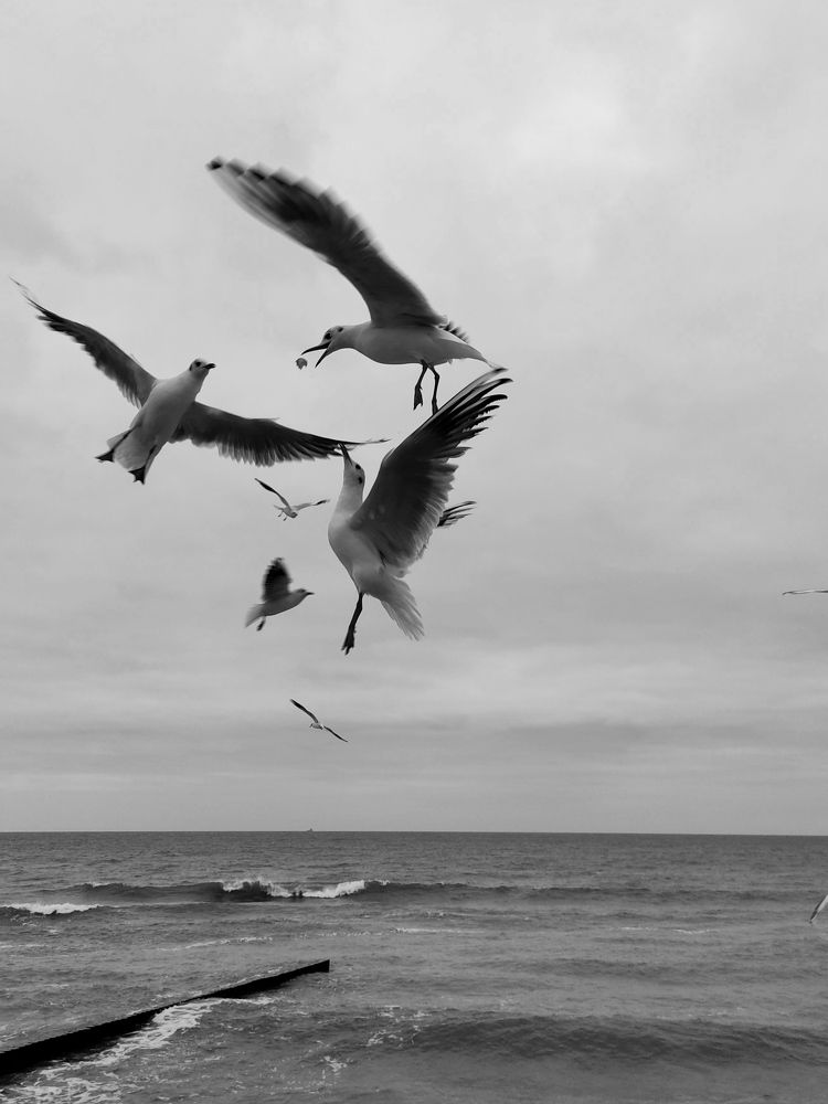 Photograph by Светлана Холодова