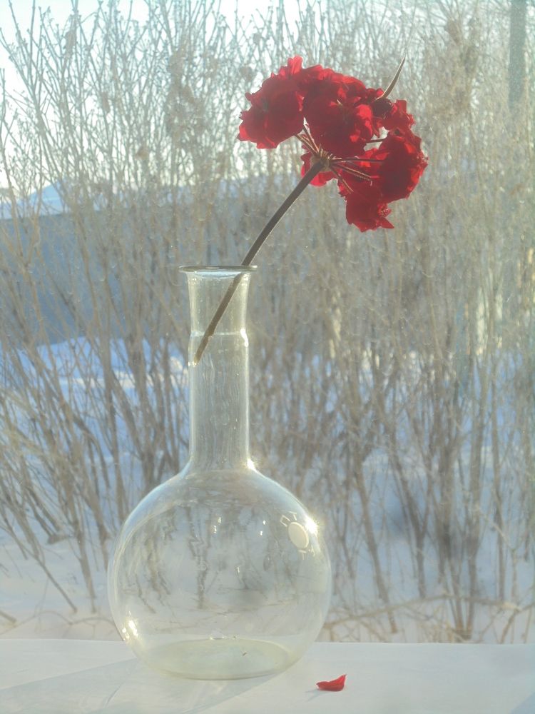 Натюрморт на подоконнике.