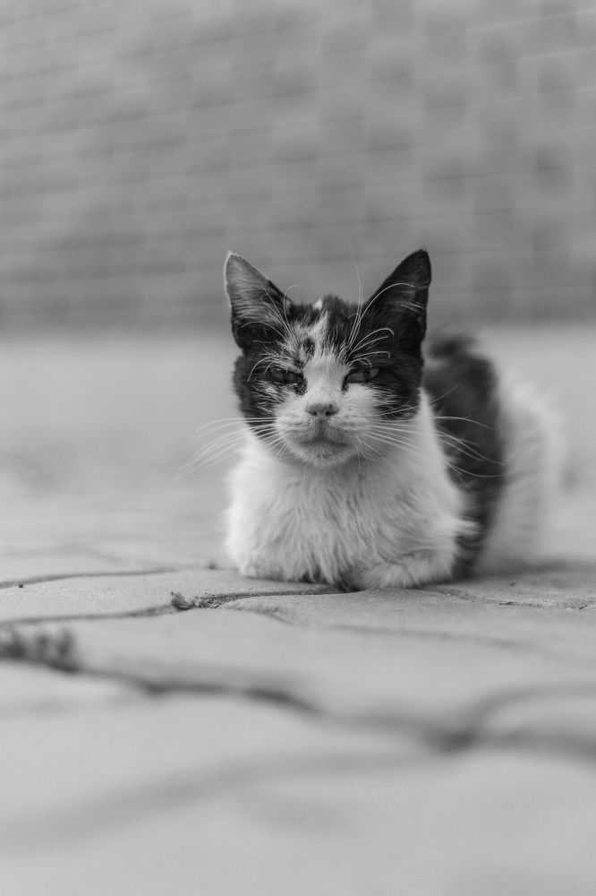 Photograph by Красильников Евгений Николаевич