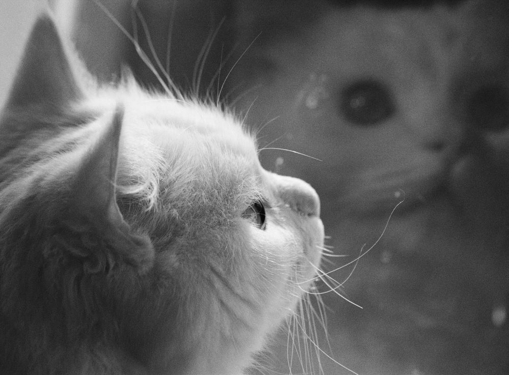Photograph by Петр Зверев