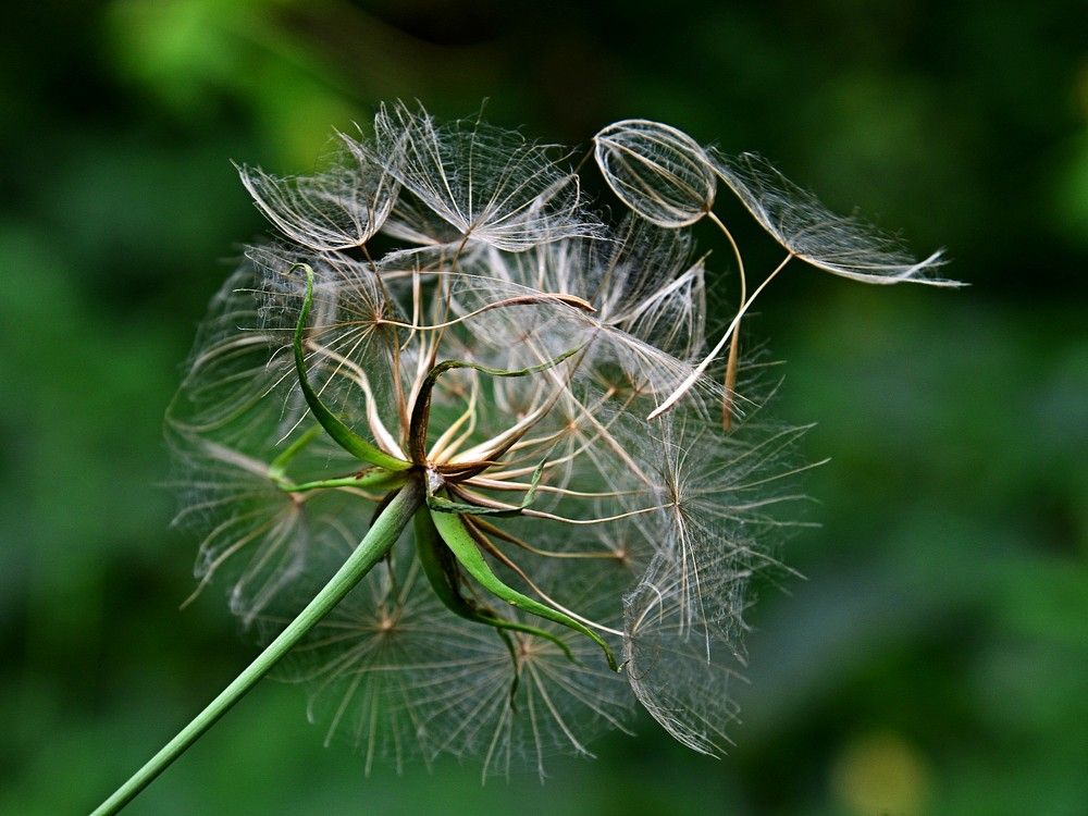 Photograph by Людмила