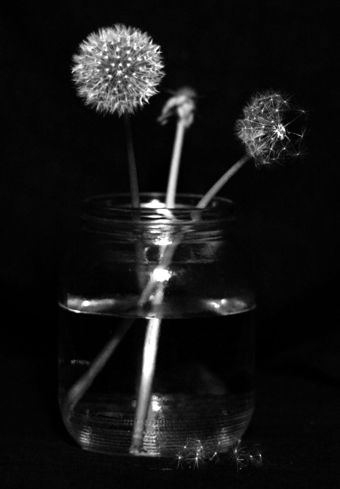 Photograph by Andrei Vaitovich