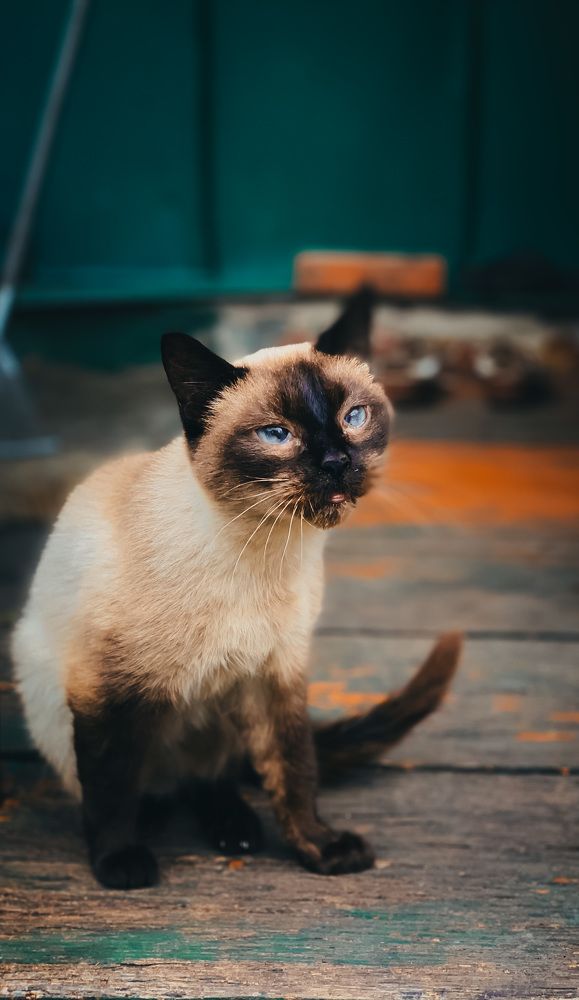 Photograph by Екатерина Алимова