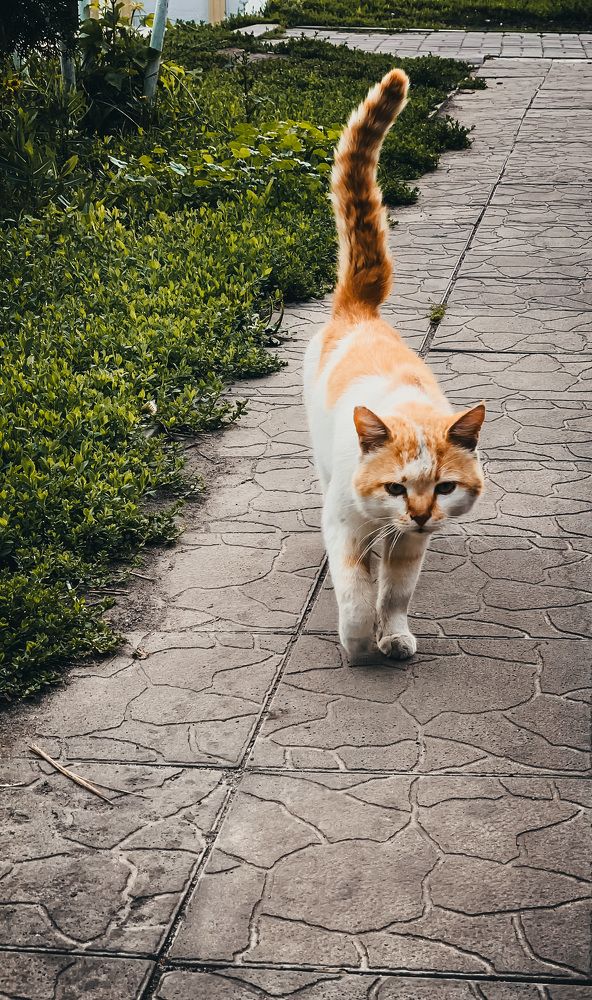 Photograph by Екатерина Алимова