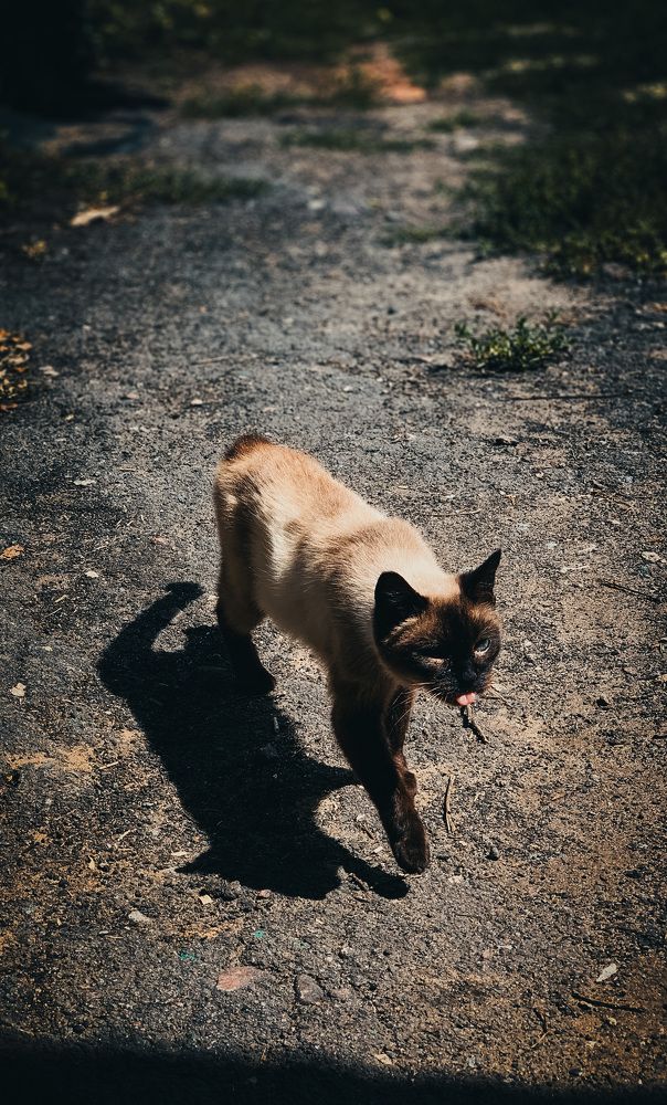 Photograph by Екатерина Алимова