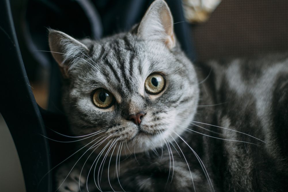 Photograph by Татьяна