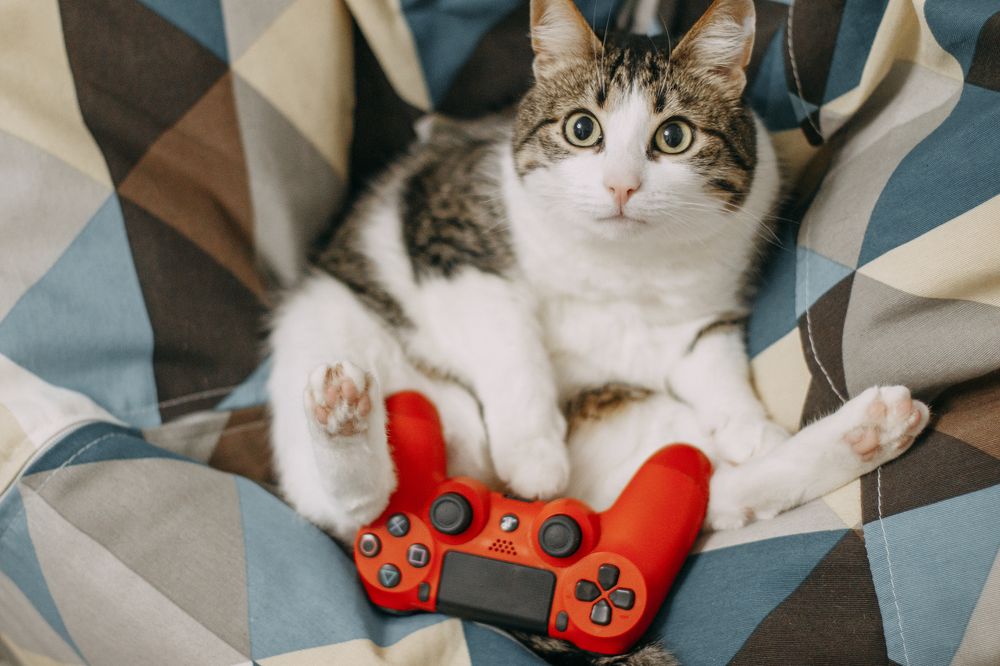 Photograph by Татьяна