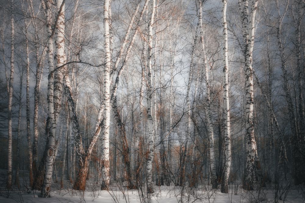 Photograph by Ivan Sazykin