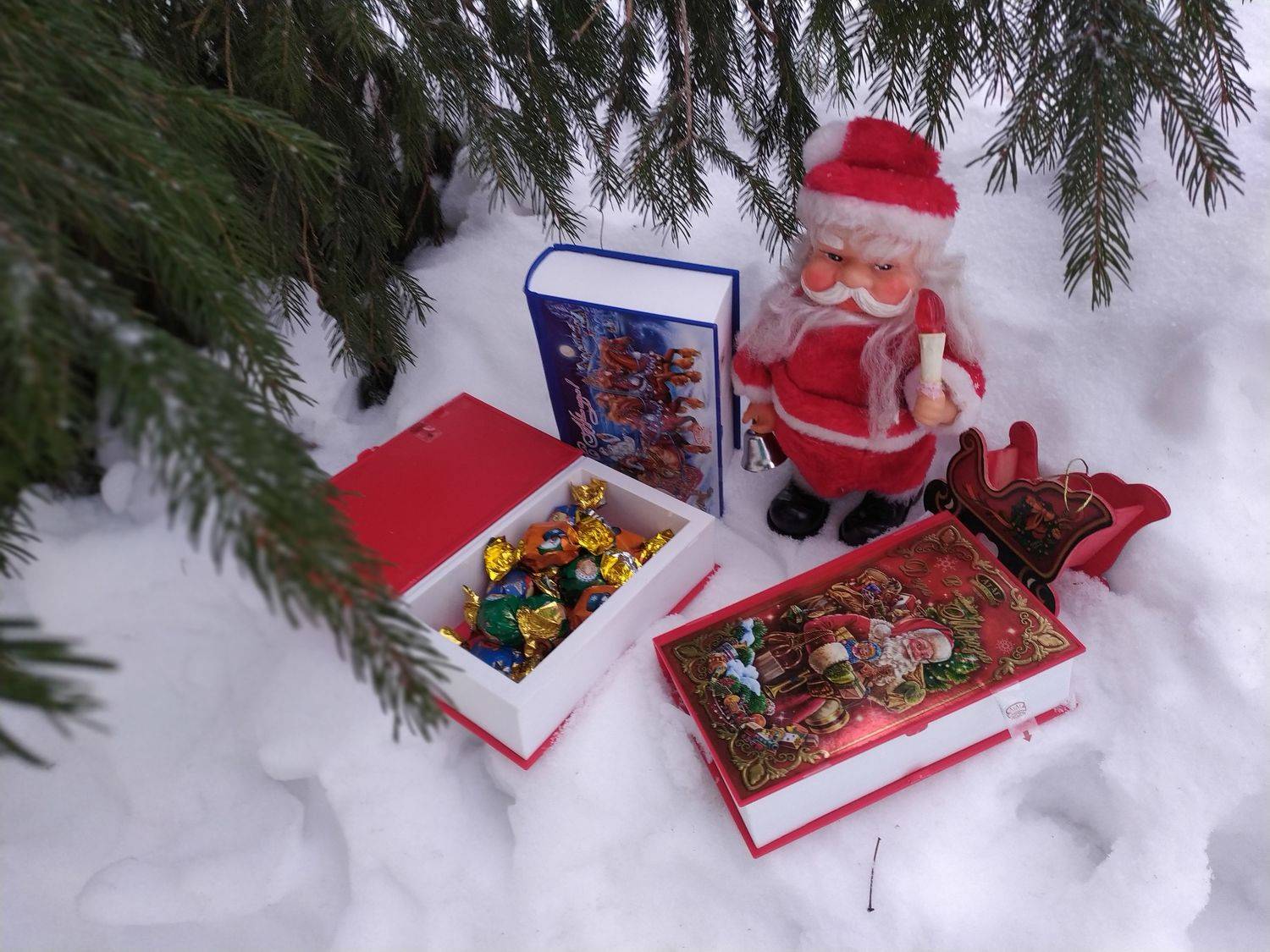 Photo #8705773