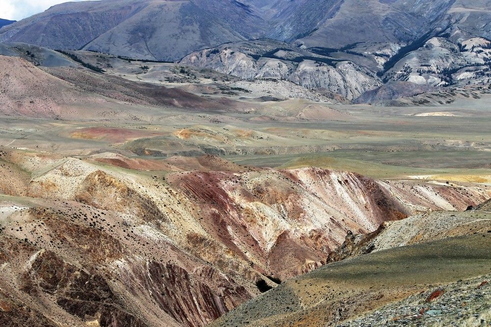 Фотография автора Ирина Бордачева