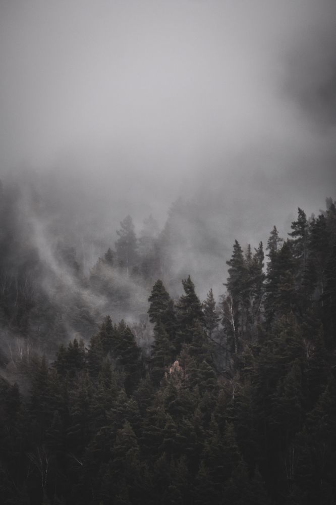 Photograph by Лобанов Денис