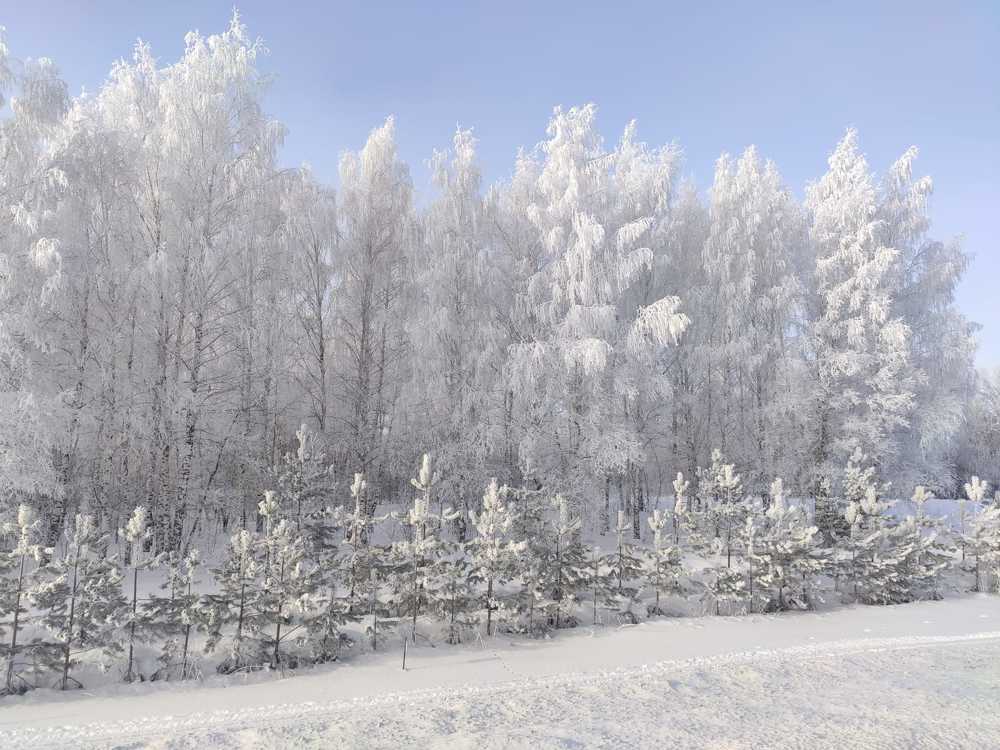 Photograph by Екатерина Якимова