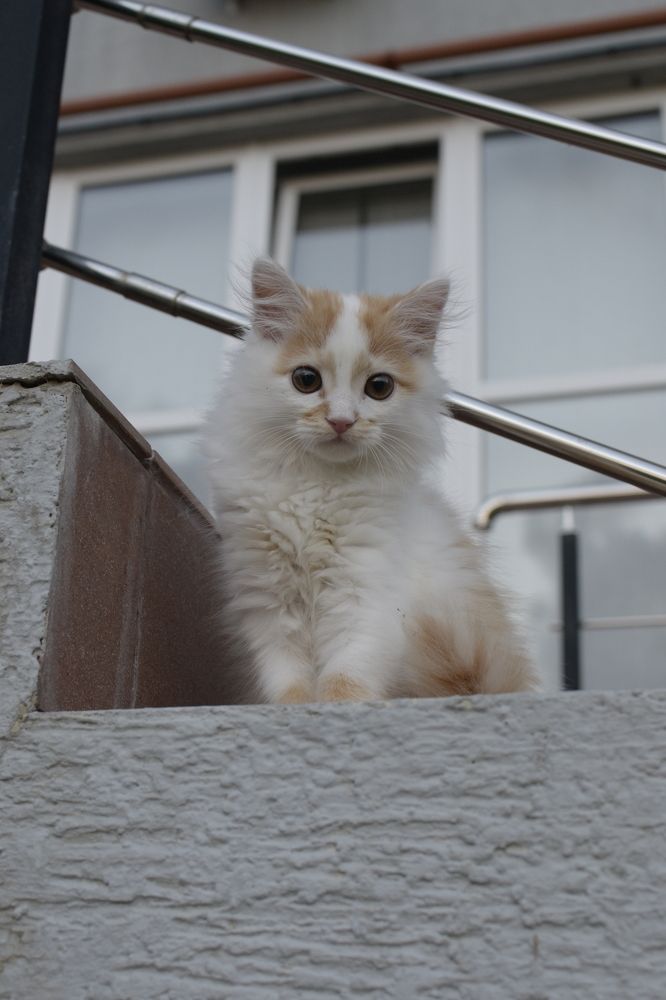 Photograph by Василиса Прекрасная