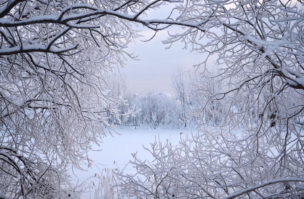 Photograph by Соколова Елена