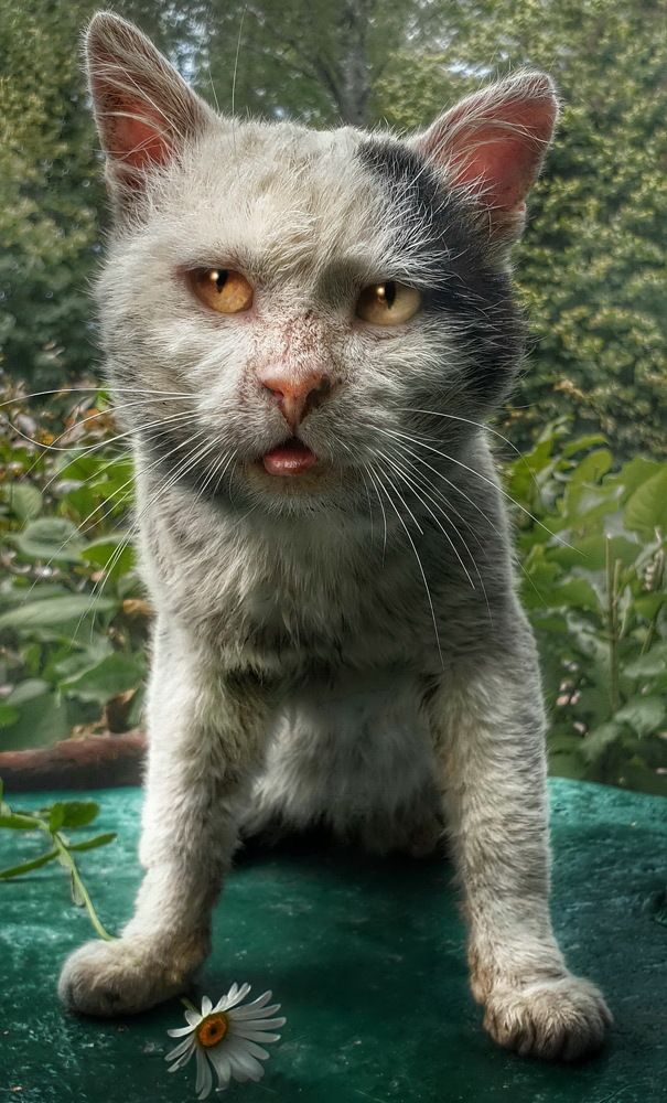 Photograph by Игорь