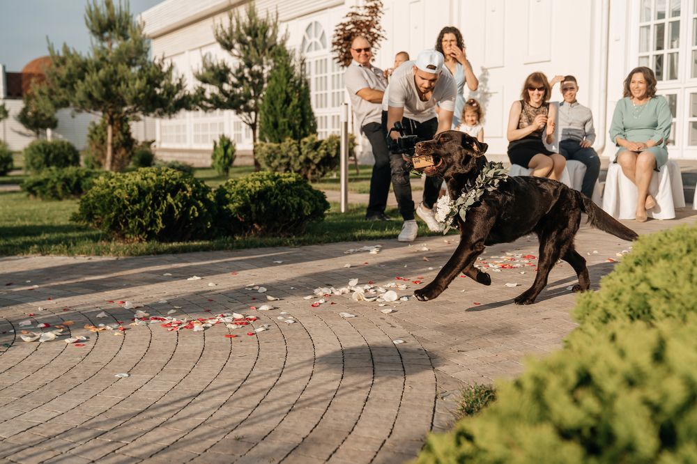 Photograph by Никита Соколов