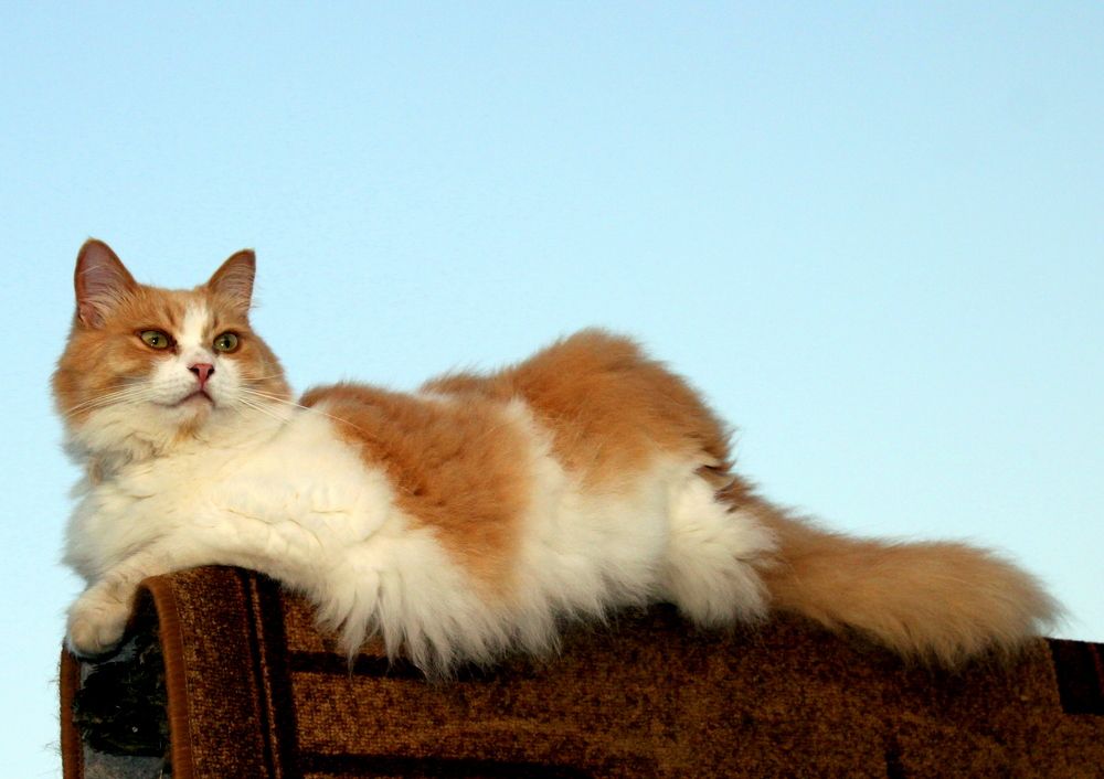 Photograph by Глеб Кузьминых