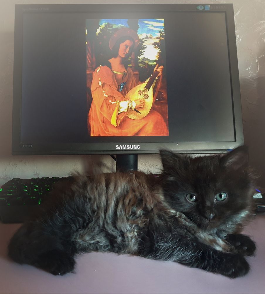 Photograph by Игорь