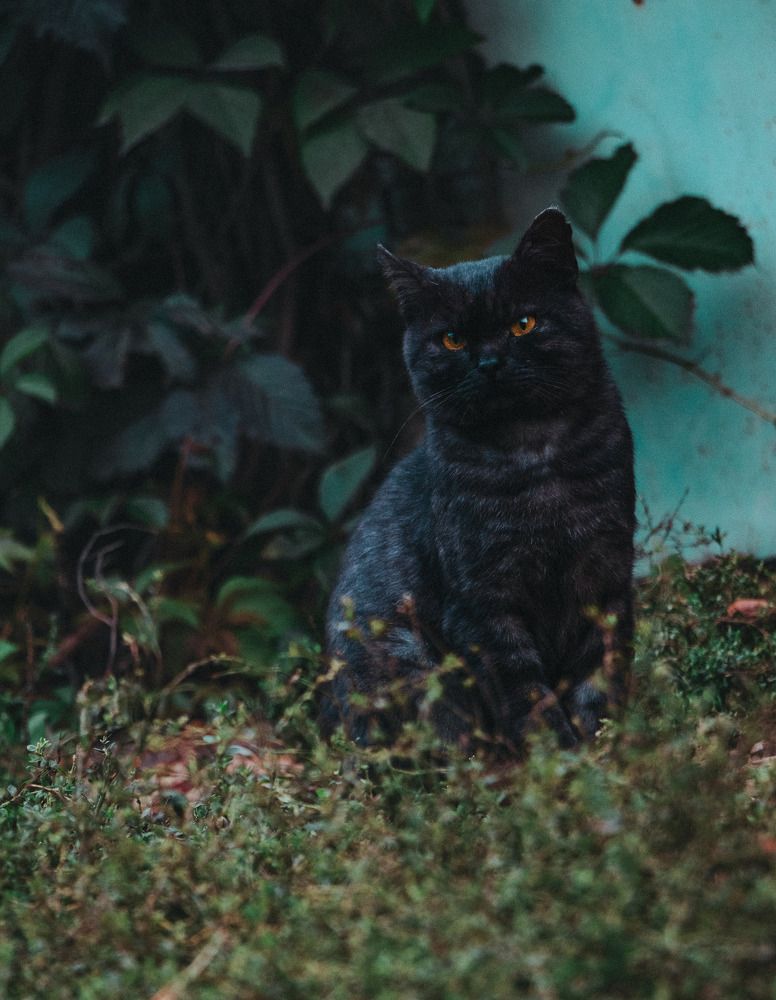 Photograph by Данила Черных