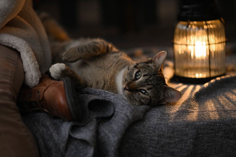 Photograph by Anna Merkulova