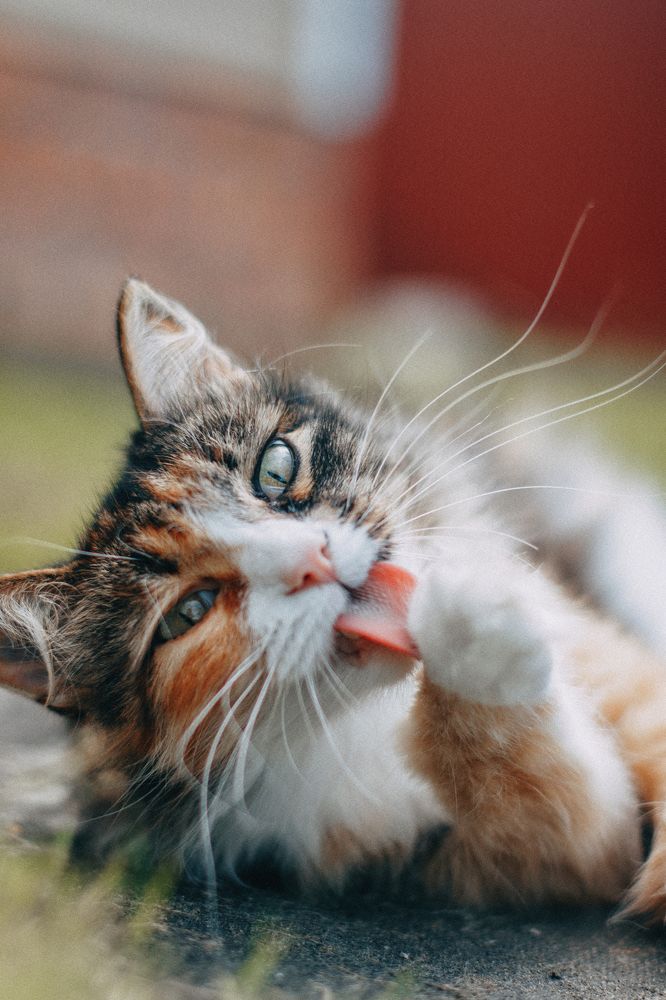 Photograph by Татьяна