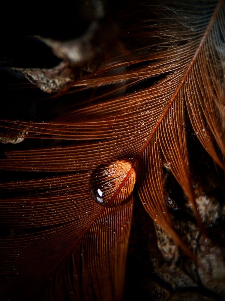 Photograph by Денис Грамович