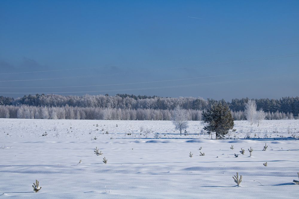 Photograph by Маргарита Сенченко