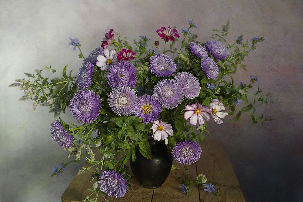 Photograph by Вера  Павлухина