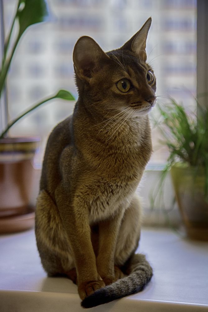 Photograph by Анна Липоткина