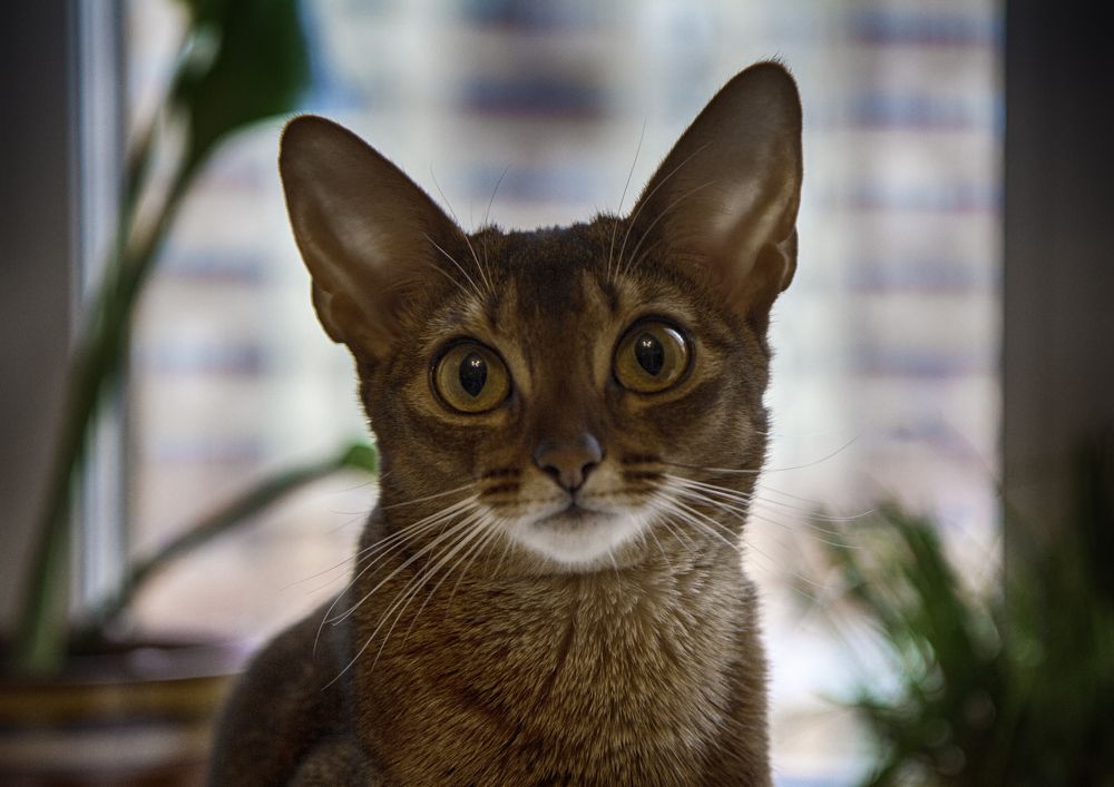 Photograph by Анна Липоткина