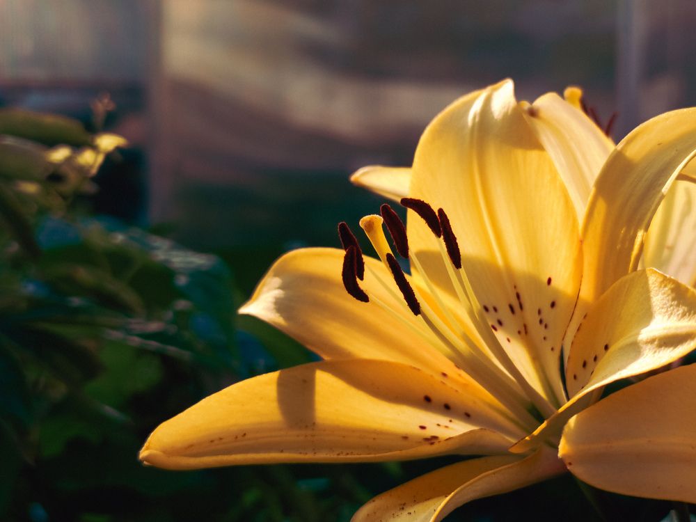 Photograph by Андрей Романов