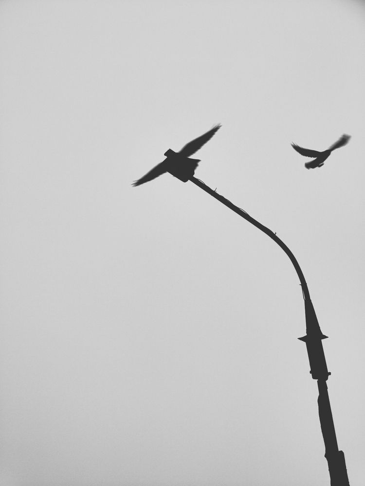 Photograph by Сергей