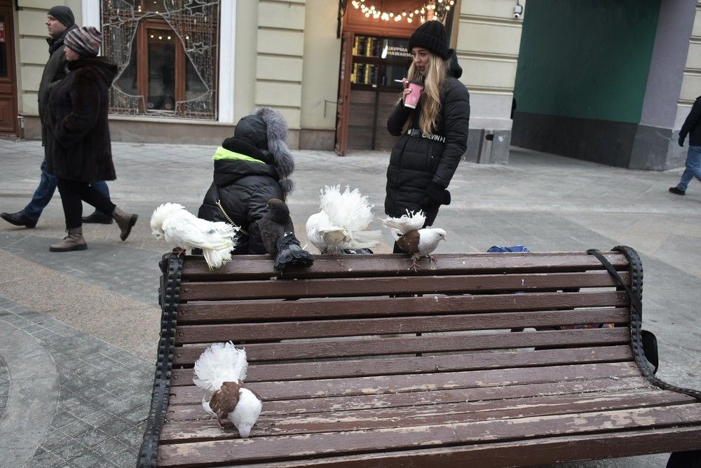 Photograph by Сергей Иванович Носов