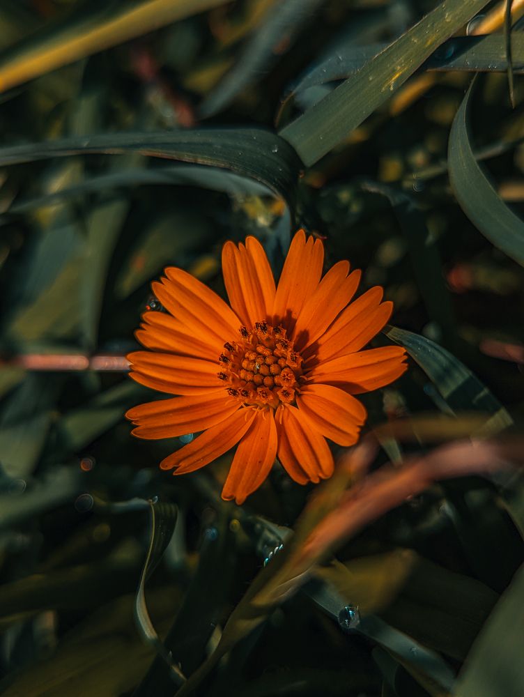 Photograph by Dennis Perez