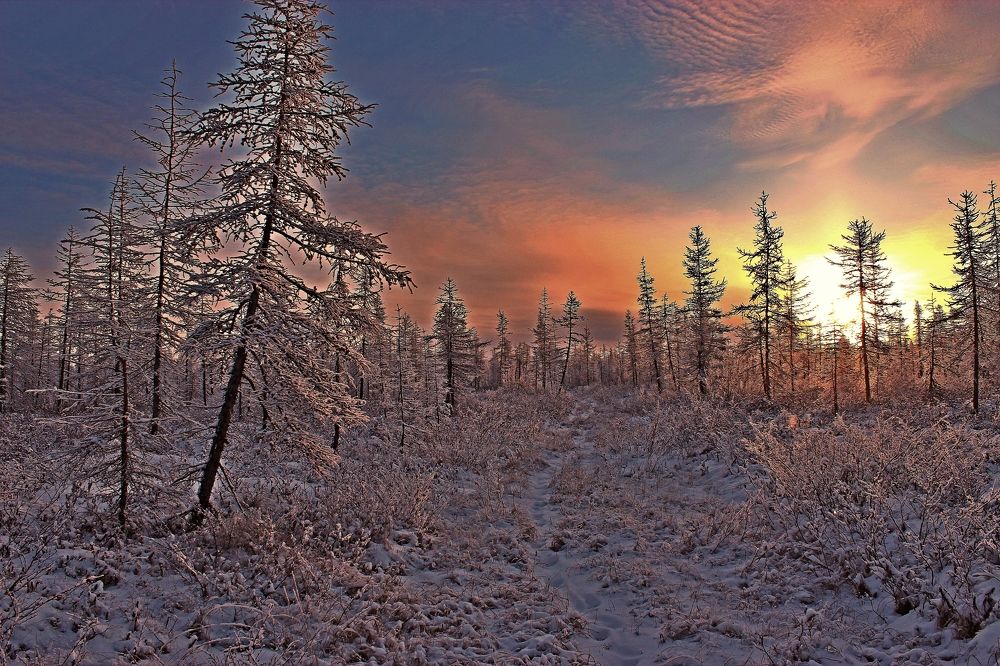 Photograph by Александр Велигура