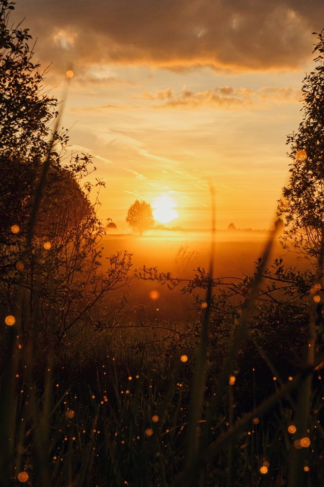 Photograph by Сергей