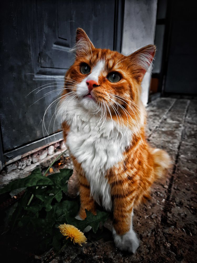 Photograph by Наталья Чередниченко