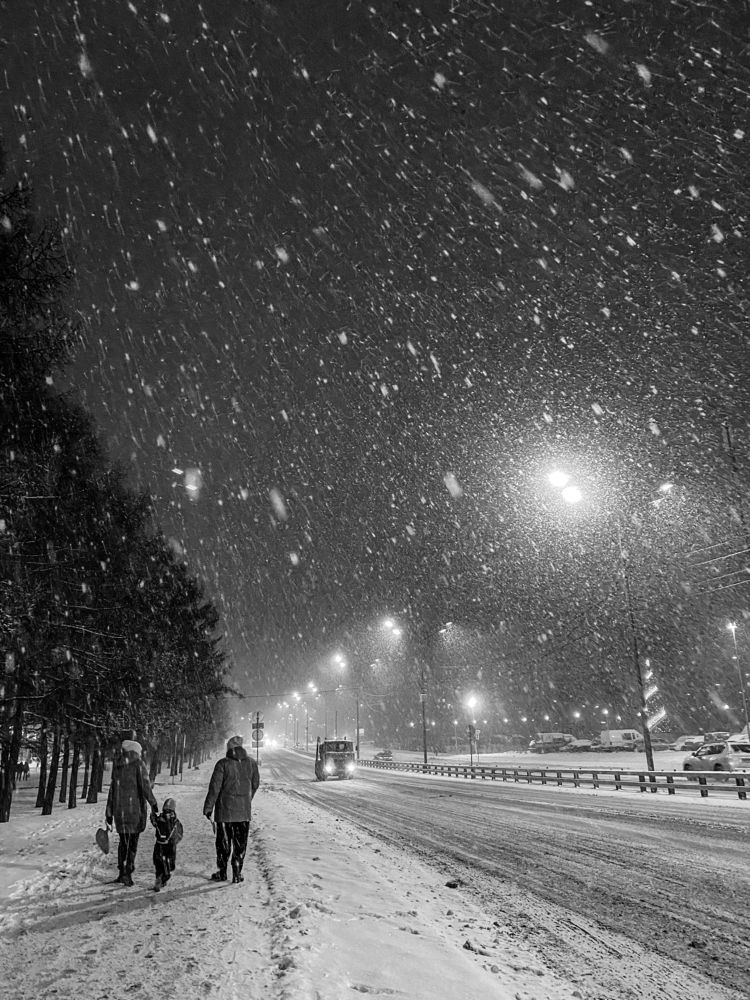 Снегопад в городе