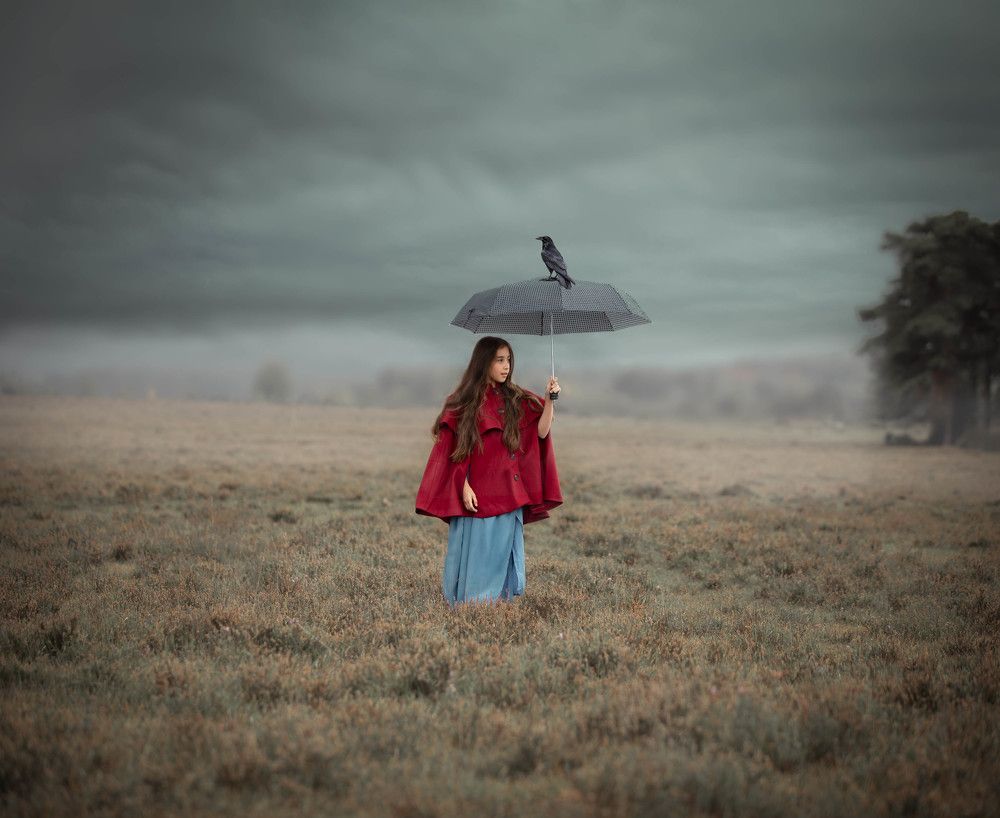 Photograph by Lisa Kingham