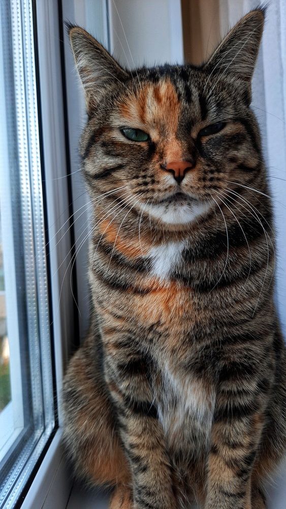 Photograph by Наталья Чередниченко