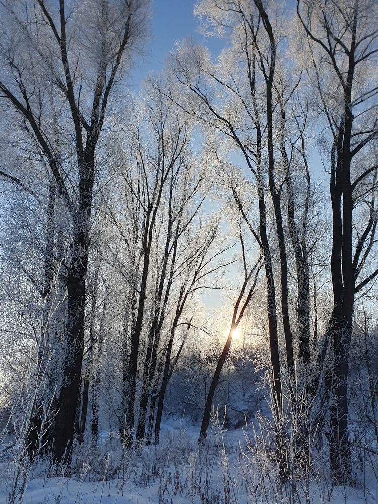 Photograph by Айгуль Кубиева