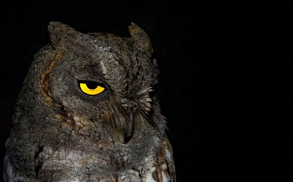 Фотография автора Paul Manjooran