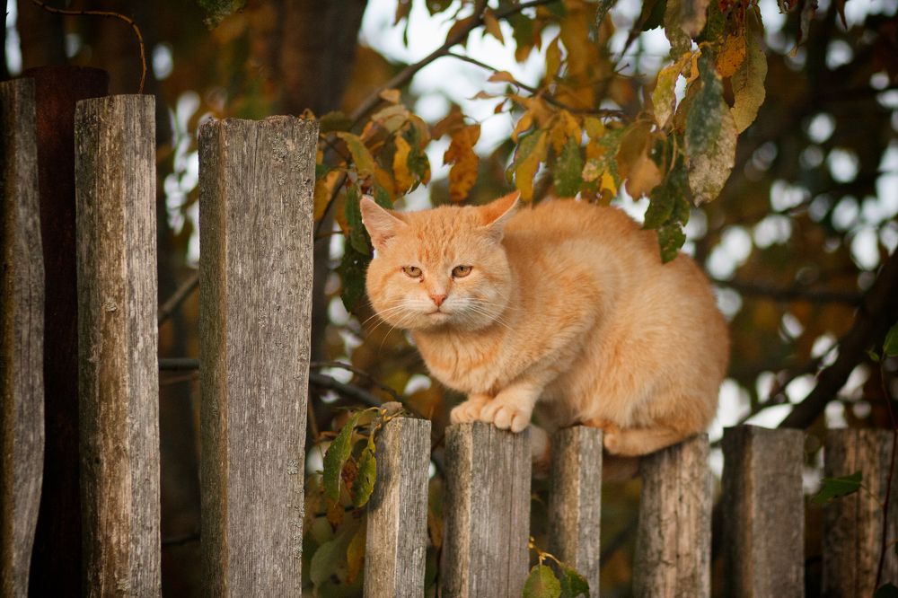 Photograph by Andrei Vaitovich